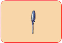 Hand  Transplanting  Trowel Aluminium  Body